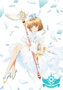 CCS Clear Card Arc Volume 1 DVD Blu-ray