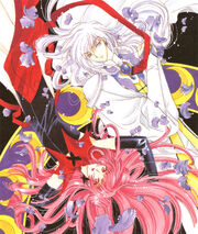 CCS IC V2 PG48