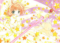 CCS IC V2 PG18.jpg