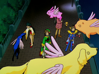 CCS EP31 - The Create dog, pig, rabbit