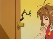 CCS EP04 - Wood...?