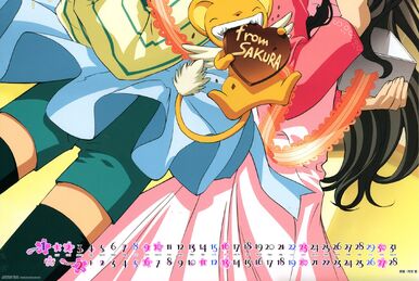 Pretty Guardian Sailor Moon Memorial CD Box - Moonlight Real Girl Box Set |  Sailor Moon Wiki | Fandom