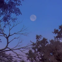 Sakura Yukito And The Midday Moon Cardcaptor Sakura Wiki Fandom Master of the clow manga series. sakura yukito and the midday moon