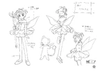CCS AW SP PG210.png (482 KB)