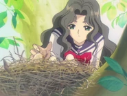 Nadeshiko n chicks.png (1.64 MB)