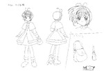 CCS AW SP PG045.png (402 KB)