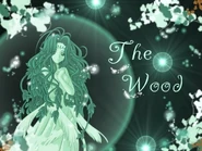 Wood wallpaper.jpg (89 kB)