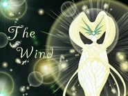 Windy wallpaper.jpg (97 kB)