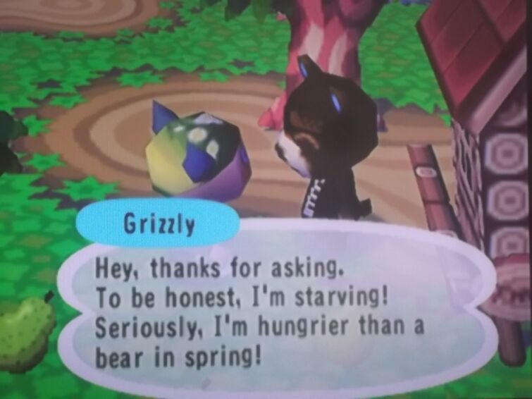 Discuss Everything About Animal Crossing Wiki | Fandom