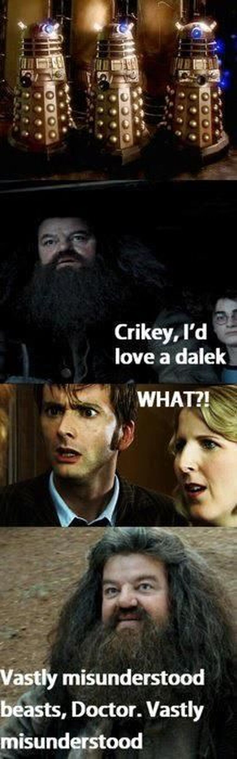 Doctor Potter” Meme is the Closest We'll Get to a Harry Potter Doctor Who  Episode