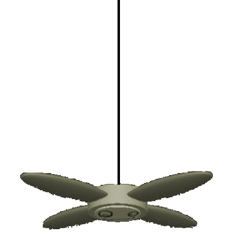 Silly Fan NEW LOOK! | Fandom