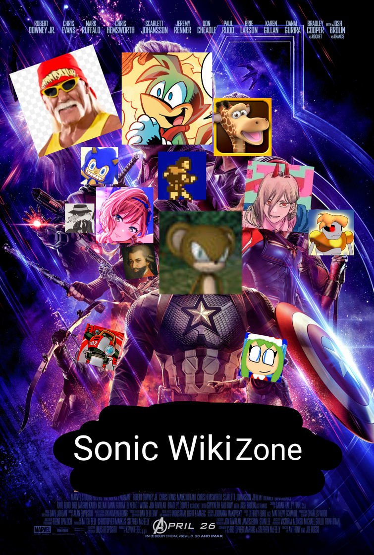 The End, Sonic Wiki Zone