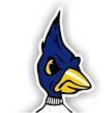 Angry brid.png