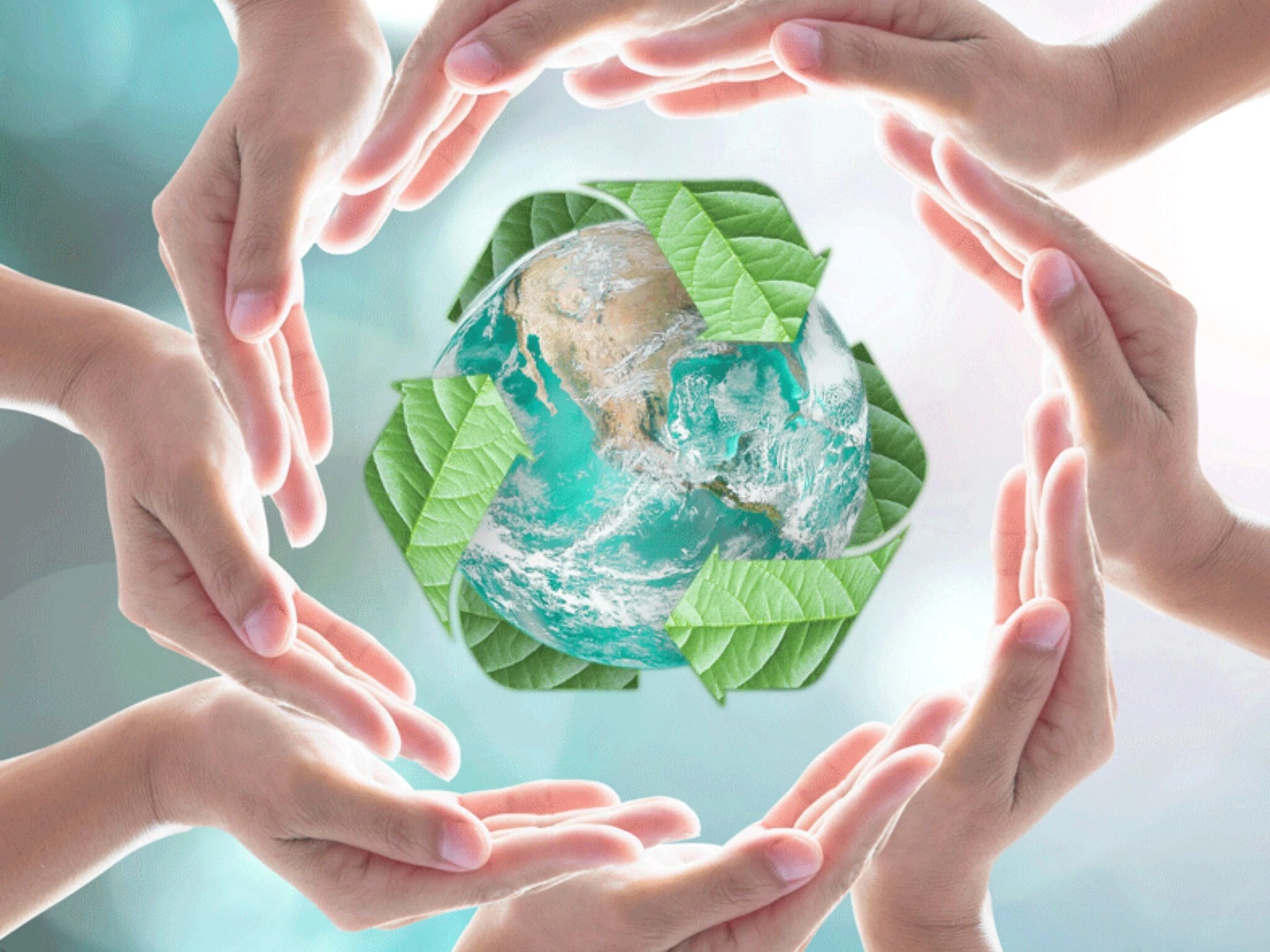 Модель practice. Primary health care. Community of practice. Постер про экологическое образование. Экологический консалтинг.