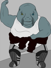 Druss.png