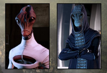 Salari.png