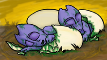 Salareggs.png