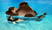 Armaxbeach.png