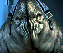 Elccor.png