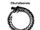 Ouroboros Private Security Providers