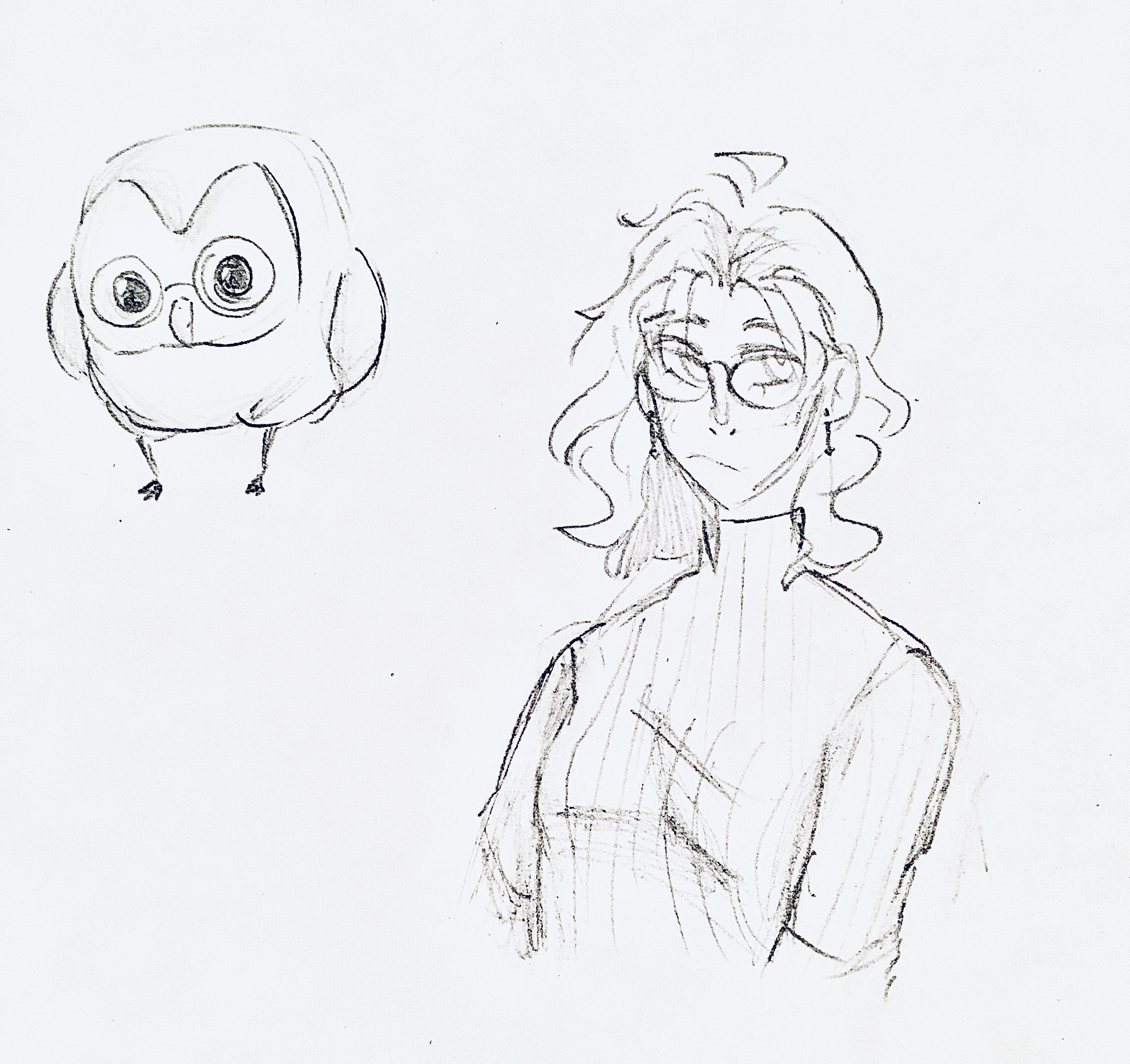 Adopt Me Drawings Owl