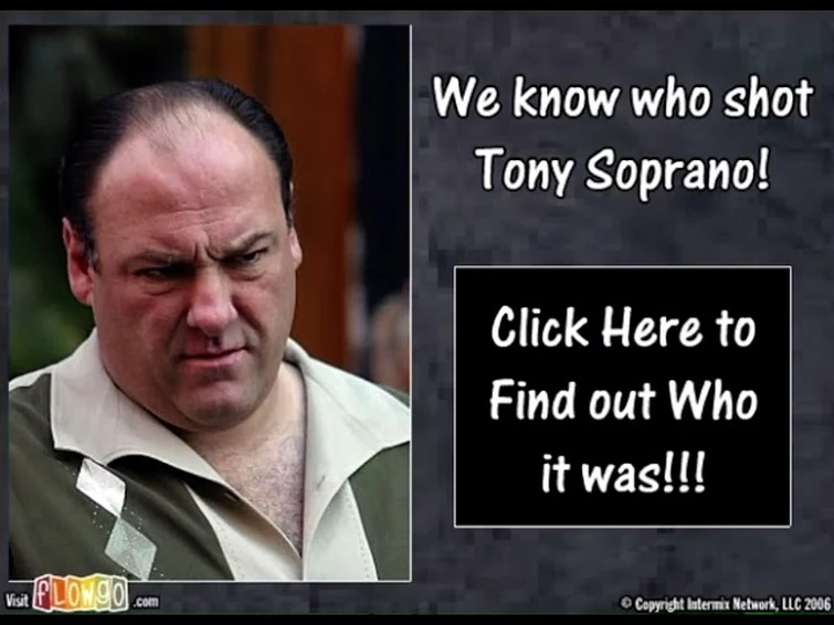 “Who Shot Tony Soprano?!!” - FlowGo animation