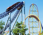 View of Three Coasters: Millenium Force, Mantis, and Top Thrill Dragster.