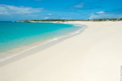 Celebrity Singers Wiki | Fandom