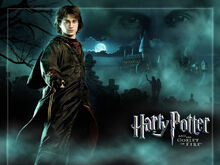 Harry-Potter-harry-potter-and-the-goblet-of-fire-1729786-1024-768.jpg