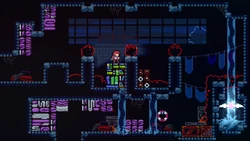 Комната с ягодой (хлам не отсортирован)