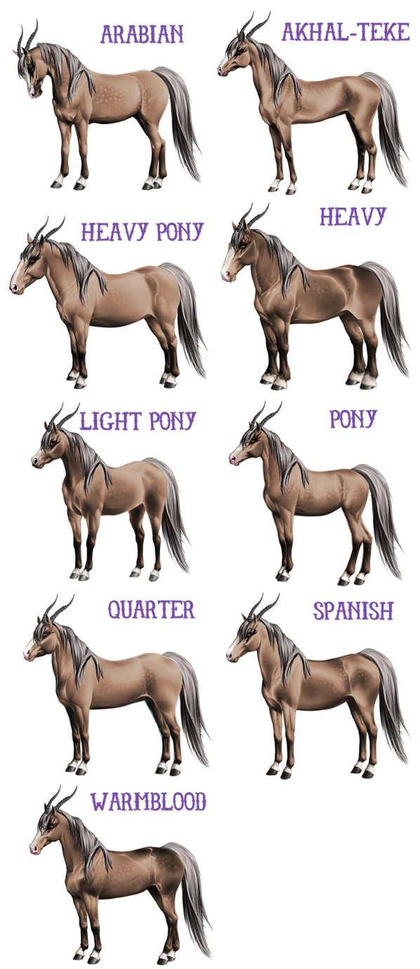 Base Images Celestial Equine Wiki Fandom