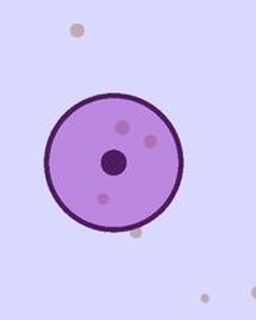 Prostejshij Makrofag Cell Lab Viki Fandom