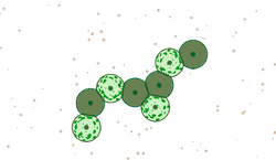 Floral Moss, Cell Lab Wikia