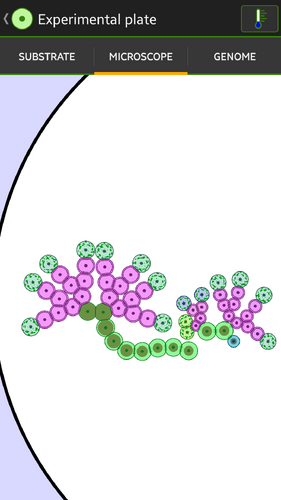 Floralgae Rhizoma | Cell Lab Wikia | Fandom