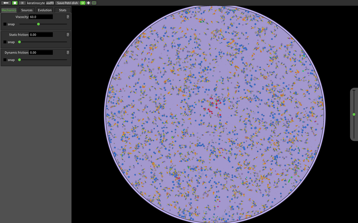 Steam cell bio фото 108