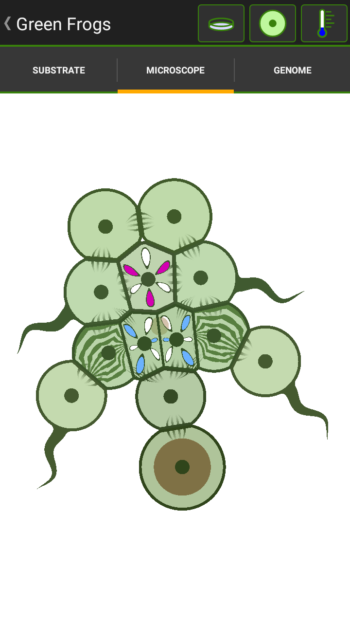 List of Frogs Cell Lab Wikia Fandom