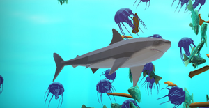 Great White Garden