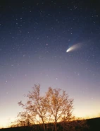 The comet as soon from Earth. The photograph was taken in 1997 by Philipp Salzgeber