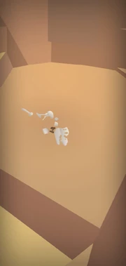  fossils in the  Garden.