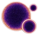 Dark Matter