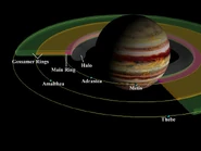 An overview of Jupiter's ring system