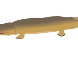 Tetrapod