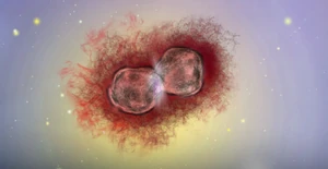 Homunculus Nebula Garden