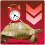 Turtle Slow Speed