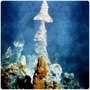 Lurking in the Dark Hydrothermal Vents