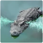 Tetrapod Sensitive Hearing