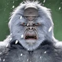 Face Your Fears Yeti