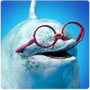 Cetaceans Dolphin Intelligence