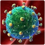 Prokaryotic Cell Virus