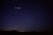 The Cetus Constellation. Tau Ceti is on the bottom of the second shape.